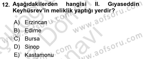 Türkiye Selçuklu Tarihi Dersi 2021 - 2022 Yılı (Final) Dönem Sonu Sınav Soruları 12. Soru