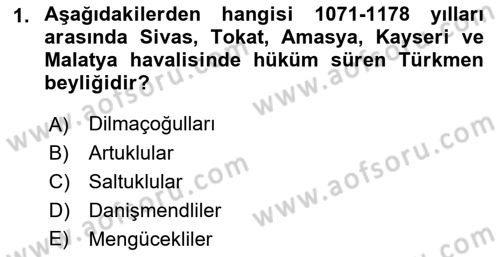 Türkiye Selçuklu Tarihi Dersi 2021 - 2022 Yılı Yaz Okulu Sınav Soruları 1. Soru