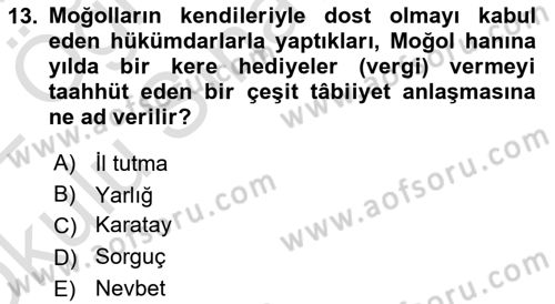 Türkiye Selçuklu Tarihi Dersi 2021 - 2022 Yılı Yaz Okulu Sınav Soruları 13. Soru