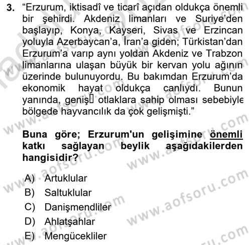 Türkiye Selçuklu Tarihi Dersi 2022 - 2023 Yılı (Vize) Ara Sınav Soruları 3. Soru