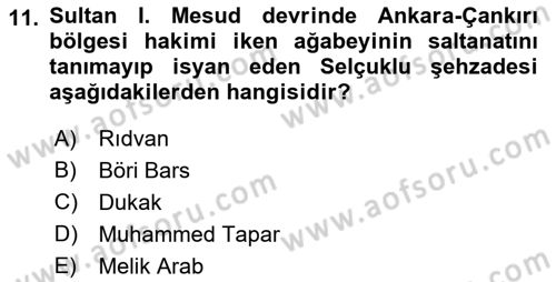 Türkiye Selçuklu Tarihi Dersi Ara Sınavı Deneme Sınav Soruları 11. Soru