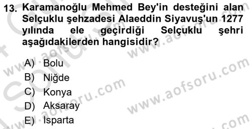 Türkiye Selçuklu Tarihi Dersi 2023 - 2024 Yılı (Final) Dönem Sonu Sınav Soruları 13. Soru