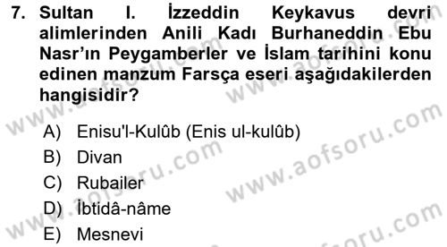 Türkiye Selçuklu Tarihi Dersi 2023 - 2024 Yılı (Final) Dönem Sonu Sınav Soruları 7. Soru