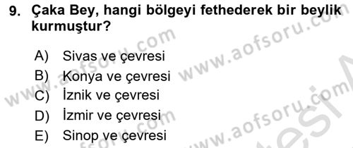 Türkiye Selçuklu Tarihi Dersi 2024 - 2025 Yılı (Vize) Ara Sınav Soruları 9. Soru