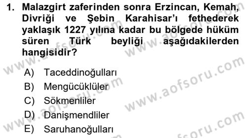 Türkiye Selçuklu Tarihi Dersi 2024 - 2025 Yılı Yaz Okulu Sınav Soruları 1. Soru