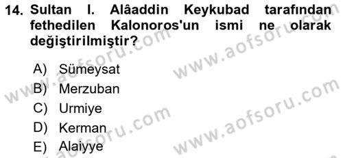 Türkiye Selçuklu Tarihi Dersi 2024 - 2025 Yılı Yaz Okulu Sınav Soruları 14. Soru