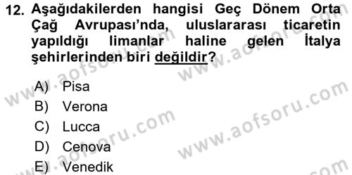 Ortaçağ-Yeniçağ Avrupa Tarihi Dersi 2016 - 2017 Yılı (Vize) Ara Sınavı 12. Soru