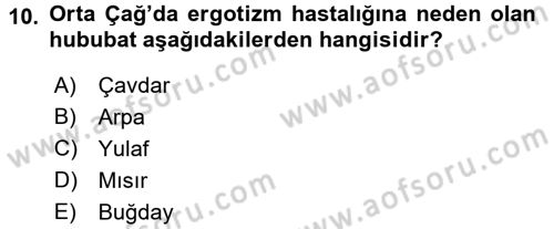 Ortaçağ-Yeniçağ Avrupa Tarihi Dersi Ara Sınavı Deneme Sınav Soruları 10. Soru
