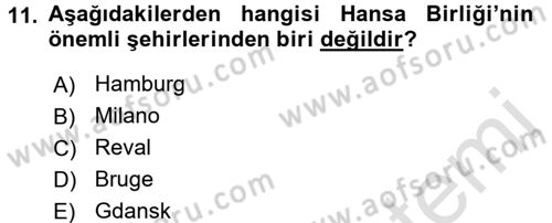 Ortaçağ-Yeniçağ Avrupa Tarihi Dersi Ara Sınavı Deneme Sınav Soruları 11. Soru