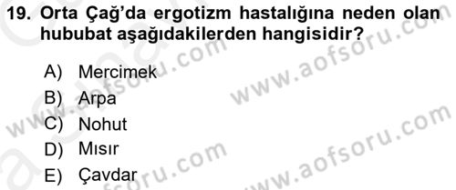 Ortaçağ-Yeniçağ Avrupa Tarihi Dersi 2018 - 2019 Yılı (Vize) Ara Sınav Soruları 19. Soru