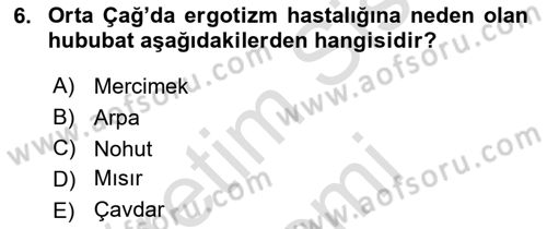 Ortaçağ-Yeniçağ Avrupa Tarihi Dersi Ara Sınavı Deneme Sınav Soruları 6. Soru
