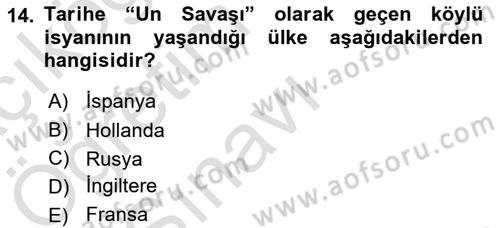 Ortaçağ-Yeniçağ Avrupa Tarihi Dersi 2021 - 2022 Yılı Yaz Okulu Sınav Soruları 14. Soru