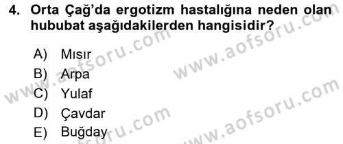 Ortaçağ-Yeniçağ Avrupa Tarihi Dersi 2022 - 2023 Yılı Yaz Okulu Sınav Soruları 4. Soru