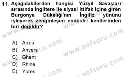 Ortaçağ-Yeniçağ Avrupa Tarihi Dersi 2023 - 2024 Yılı (Vize) Ara Sınav Soruları 11. Soru