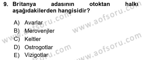 Ortaçağ-Yeniçağ Avrupa Tarihi Dersi 2024 - 2025 Yılı (Final) Dönem Sonu Sınav Soruları 9. Soru