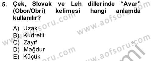 Rusya Tarihi Dersi 2014 - 2015 Yılı (Vize) Ara Sınav Soruları 5. Soru