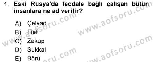 Rusya Tarihi Dersi 2016 - 2017 Yılı (Vize) Ara Sınav Soruları 1. Soru