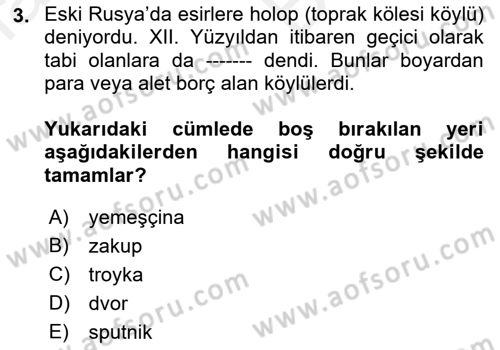 Rusya Tarihi Dersi 2018 - 2019 Yılı (Vize) Ara Sınav Soruları 3. Soru