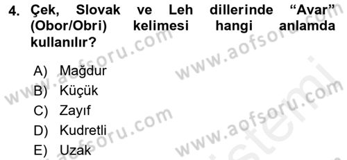Rusya Tarihi Dersi 2018 - 2019 Yılı (Vize) Ara Sınav Soruları 4. Soru