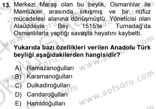Osmanlı Tarihi (1300-1566) Dersi 2023 - 2024 Yılı Yaz Okulu Sınav Soruları 13. Soru