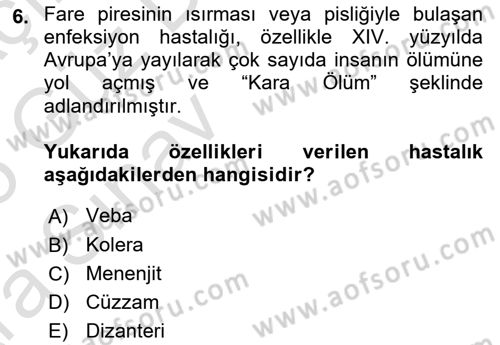 Osmanlı Tarihi (1300-1566) Dersi 2024 - 2025 Yılı (Vize) Ara Sınav Soruları 6. Soru
