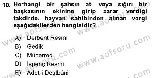 Osmanlı Merkez ve Taşra Teşkilatı Dersi 2023 - 2024 Yılı Yaz Okulu Sınav Soruları 10. Soru