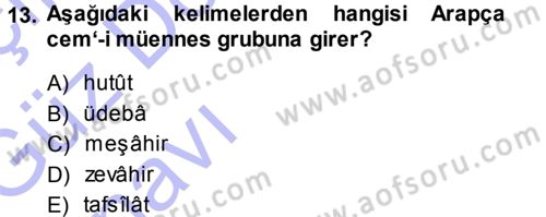 Osmanlı Türkçesi Metinleri 1 Dersi 2013 - 2014 Yılı (Vize) Ara Sınav Soruları 13. Soru