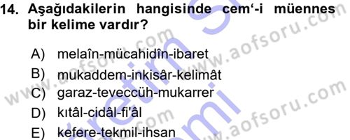 Osmanlı Türkçesi Metinleri 1 Dersi Ara Sınavı Deneme Sınav Soruları 14. Soru
