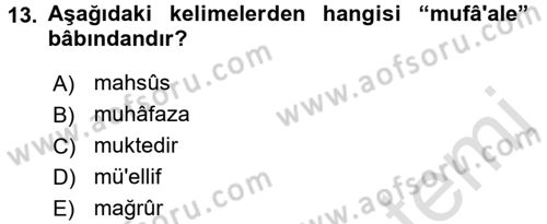 Osmanlı Türkçesi Metinleri 1 Dersi 2016 - 2017 Yılı (Vize) Ara Sınav Soruları 13. Soru