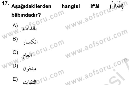 Osmanlı Türkçesi Metinleri 1 Dersi Ara Sınavı Deneme Sınav Soruları 17. Soru