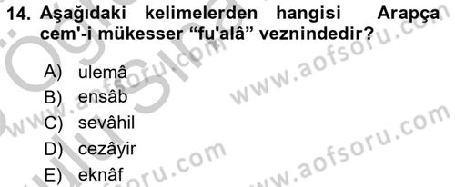 Osmanlı Türkçesi Metinleri 1 Dersi 2018 - 2019 Yılı Yaz Okulu Sınav Soruları 14. Soru