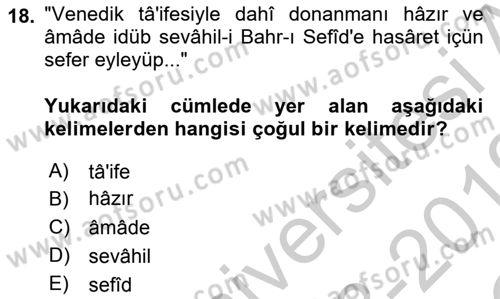 Osmanlı Türkçesi Metinleri 1 Dersi 2018 - 2019 Yılı Yaz Okulu Sınav Soruları 18. Soru