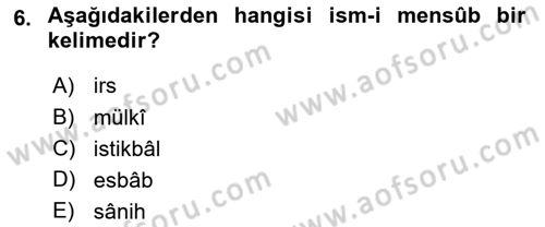 Osmanlı Türkçesi Metinleri 1 Dersi 2018 - 2019 Yılı Yaz Okulu Sınav Soruları 6. Soru