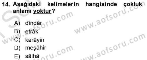 Osmanlı Türkçesi Metinleri 1 Dersi 2021 - 2022 Yılı (Final) Dönem Sonu Sınav Soruları 14. Soru