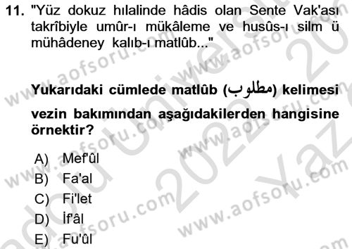 Osmanlı Türkçesi Metinleri 1 Dersi 2022 - 2023 Yılı Yaz Okulu Sınav Soruları 11. Soru