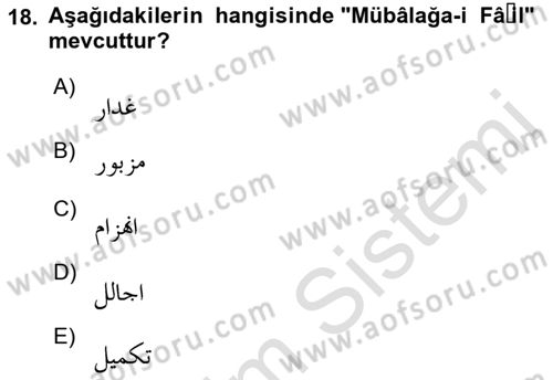 Osmanlı Türkçesi Metinleri 1 Dersi Ara Sınavı Deneme Sınav Soruları 18. Soru