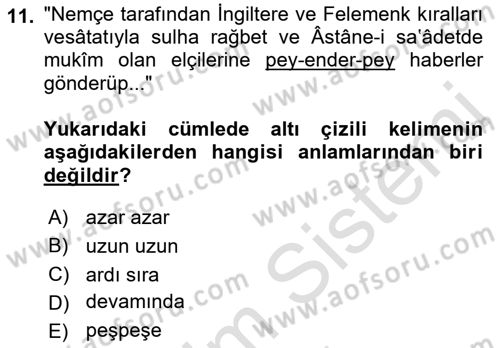 Osmanlı Türkçesi Metinleri 1 Dersi 2023 - 2024 Yılı (Final) Dönem Sonu Sınav Soruları 11. Soru