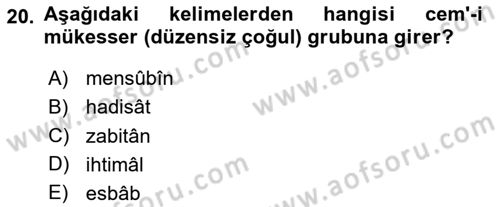 Osmanlı Türkçesi Metinleri 1 Dersi 2024 - 2025 Yılı (Vize) Ara Sınav Soruları 20. Soru
