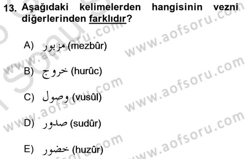Osmanlı Türkçesi Metinleri 1 Dersi 2025 - 2026 Yılı (Final) Dönem Sonu Sınav Soruları 13. Soru
