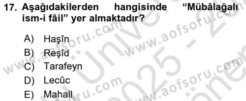 Osmanlı Türkçesi Metinleri 1 Dersi 2025 - 2026 Yılı (Final) Dönem Sonu Sınav Soruları 17. Soru