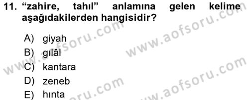 Osmanlı Türkçesi Metinleri 2 Dersi 2016 - 2017 Yılı (Vize) Ara Sınav Soruları 11. Soru