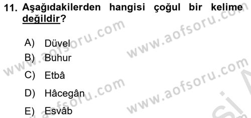 Osmanlı Türkçesi Metinleri 2 Dersi 2023 - 2024 Yılı (Vize) Ara Sınav Soruları 11. Soru