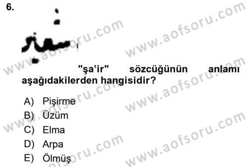 Osmanlı Türkçesi Metinleri 2 Dersi 2024 - 2025 Yılı (Vize) Ara Sınav Soruları 6. Soru