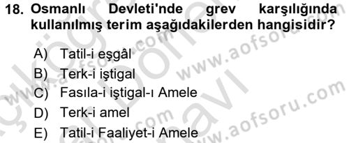 Osmanlı Devlenti’nde Yenileşme Hareketleri (1703-1876) Dersi 2016 - 2017 Yılı (Final) Dönem Sonu Sınav Soruları 18. Soru