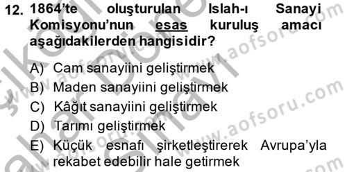 Osmanlı Yenileşme Hareketleri (1703-1876) Dersi 2014 - 2015 Yılı (Final) Dönem Sonu Sınavı 12. Soru