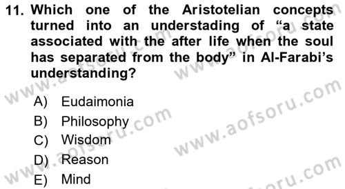 Political Thought Dersi Ara Sınavı Deneme Sınav Soruları 11. Soru