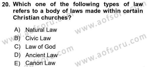 Political Thought Dersi Ara Sınavı Deneme Sınav Soruları 20. Soru