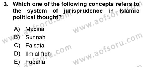 Political Thought Dersi 2018 - 2019 Yılı Yaz Okulu Sınav Soruları 3. Soru