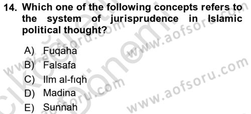 Political Thought Dersi 2019 - 2020 Yılı (Vize) Ara Sınav Soruları 14. Soru