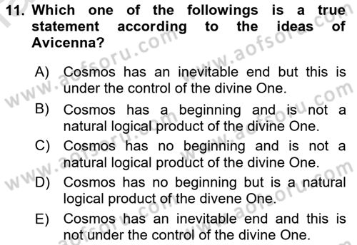 Political Thought Dersi 2021 - 2022 Yılı (Vize) Ara Sınav Soruları 11. Soru